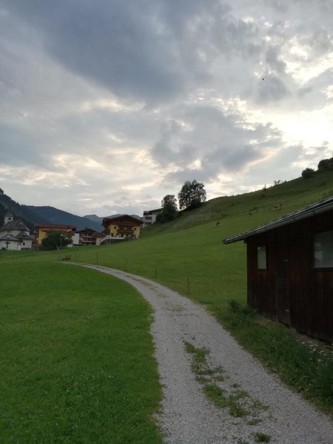 Landhaus Servus Viehhofen Exteriér fotografie