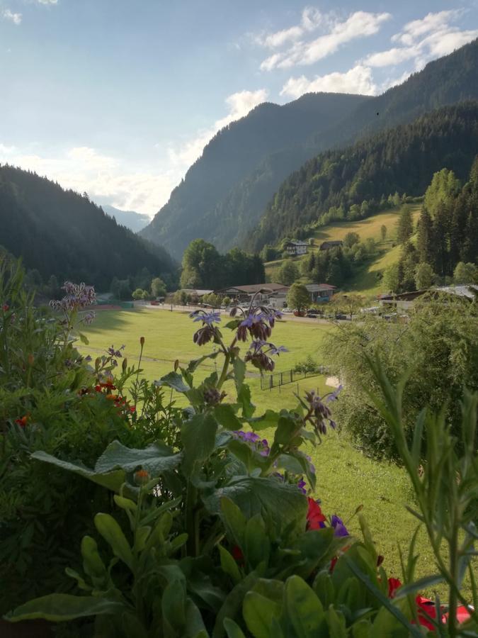 Landhaus Servus Viehhofen Exteriér fotografie